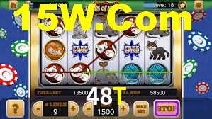 Premium Interface 48T